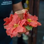 DSC_2980