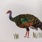 IMG-20250515-WA0006