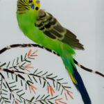 IMG-20250515-WA0011